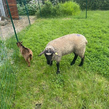 Gite "La Roucherie" 3 Etoiles En Cote D'Opale Lottinghen Bagian luar foto